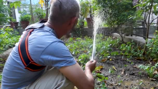 Ekim 2022 Uttarakhand Hindistan Bahçesini Sulayan Toprak Kazan Sebze Eken — Stok video