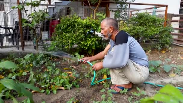 2022年10月14日 インド ウッタルカンド 高齢の退職したインド人男性は 裏庭の庭を散策し 土壌を掘り 野菜を植えました 彼の黄金時代の庭園の喜びを受け入れる — ストック動画