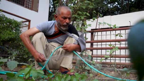 2022년 10월 14일 우타라칸드 남자는 자신의 정원을 토양을 야채를 원예의 — 비디오