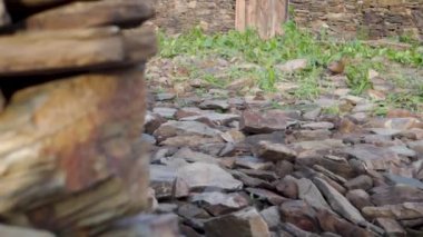 Büyüleyici Himalaya Vahşi Hayatı: Uttarakhand, Hindistan 'da Çizgili Laughingthrush Mangalı. Doğal Yaşam Alanında Az Bulunan Kuşun Sinematik Çekimi. Stok Medyası İçin Nefes Kesen Doğa Görüntüleri