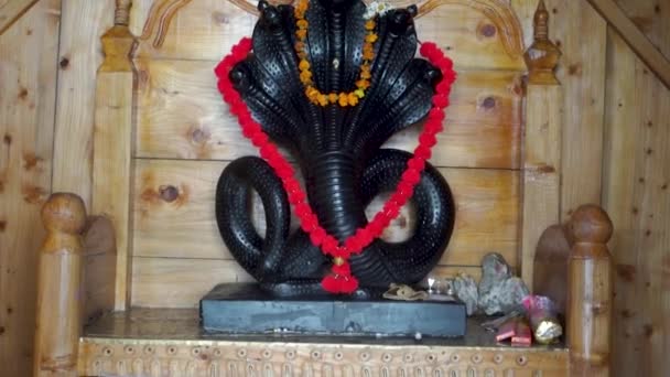 2023年6月28日 インドのウッタルカンド ヒンドゥー教の神 ナグデッタ または木製のインテリアの寺院に黒い石の姿 — ストック動画