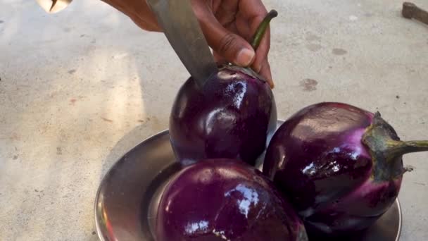 在印度北部的Angeethi 整个烤茄子或在传统的粘土炉灶中的生姜 准备北印度菜 Baigan Bharta — 图库视频影像