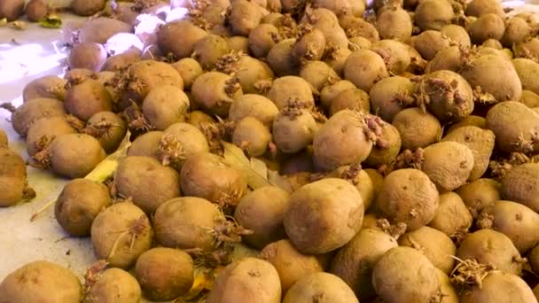 Himachal Pradesh Hindistan Dan Canlı Organik Kırmızı Pembe Patatesler Ayırt — Stok video