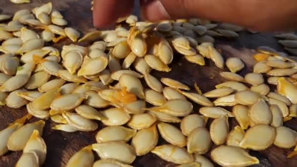 Крупный План Тыквенных Семян Семена Тыквы Упакованные Питательные Вещества Богатые — стоковое видео