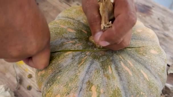 近距离拍摄的南瓜与葡萄干树桩在木制纹理桌面 — 图库视频影像