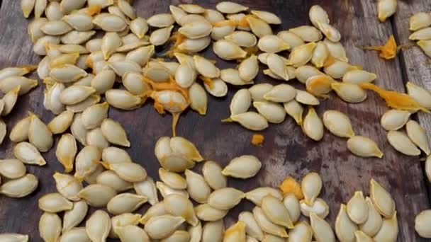 Närbild Pumpkin Seeds Näringsrika Pumpafrön Rik Protein Fiber Och Hälsosamma — Stockvideo