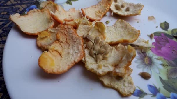 가까이 오렌지 과하얀 접시에 씨앗입니다 오렌지 껍질에는 비타민 티아민 비타민 — 비디오
