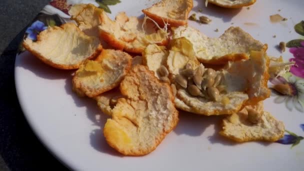 Eine Nahaufnahme Von Orangenschalen Und Samen Einem Weißen Teller Orangenschale — Stockvideo