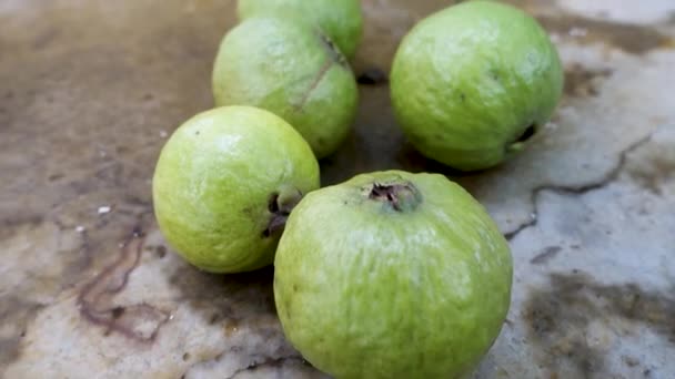 Zöld Guava Egész Gyümölcsöt Szedtem Földön Indiai Biogazdaság — Stock videók
