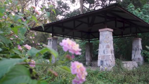 屋外公園の柱ベースのキャノピーシェルター インド デイラトゥーン — ストック動画
