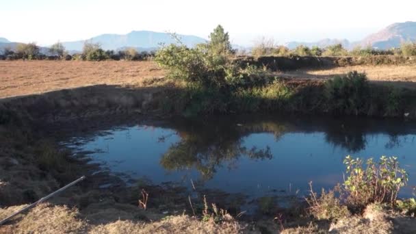 Kunstmatige Waterreservoirs Uitgehouwen Het Himalaya Bos Voor Wilde Dieren Uttarakhand — Stockvideo
