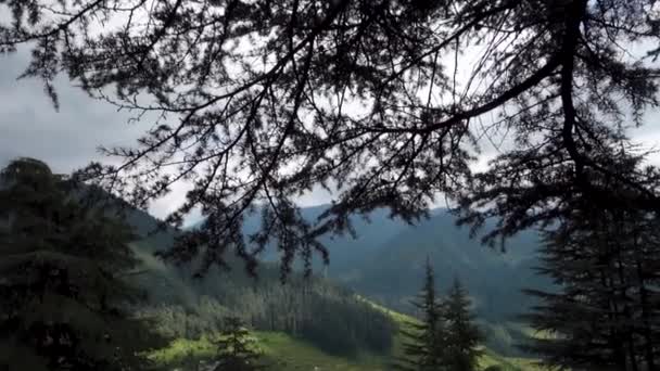 Village Himalaya Inférieur Tir Grand Angle Milieu Forêt Deodar Dans — Video