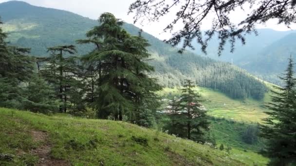 下のヒマラヤの村 インドのウッタルカンドのデイモールの森の中で広い角度ショット マウンテン ランドスケープ — ストック動画