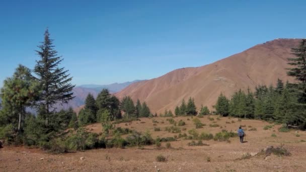Himalayan Vandrare Cinematic Skott Trekking Tehri Garhwal Ängar Omgiven Berg — Stockvideo
