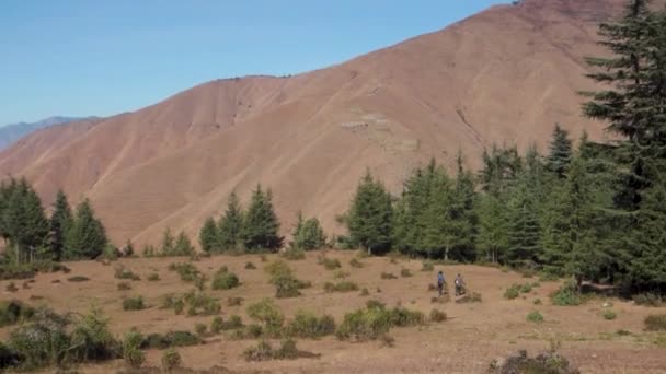 Himálajští Pěší Túry Filmový Záběr Trekking Teheránu Garhwal Meadows Obklopen — Stock video