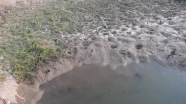 Yazları, Hindistan 'ın Uttarakhand ormanındaki bir gölet kuraklıktan zarar görmüş bir rezerve benzer. Vahşi yaşam için insan yapımı, hayati bir su kaynağı görevi görüyor.