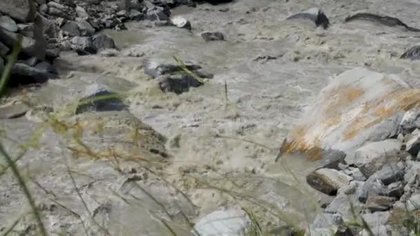 Monsun Bringt Starke Strömungen Den Fluss Satluj Indischen Himachal Pradesh — Stockvideo