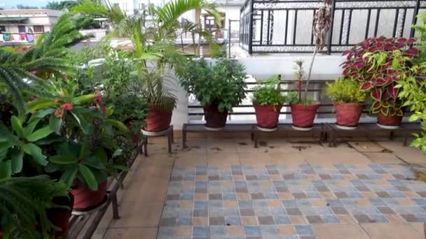 印度德拉敦市广角露台花园和带花盆的阳台 — 图库视频影像