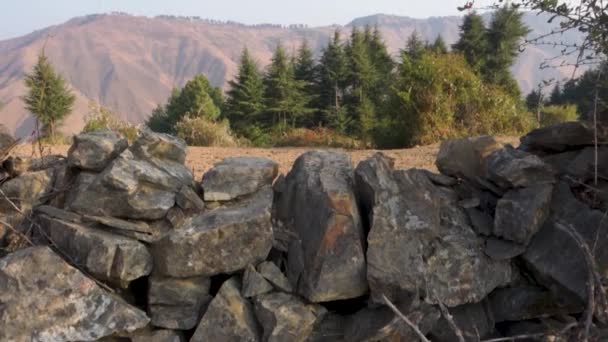 ウッタルカンドのヒマラヤ地域の息をのむような景色は 石の壁 デワラパインの木 インド — ストック動画