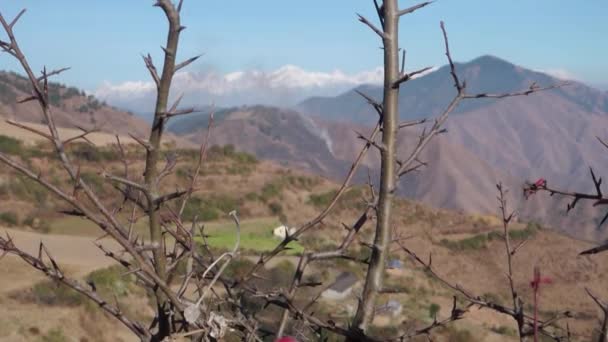 Hindistan Uttarakhand Kentindeki Derin Vadiler Engebeli Dağ Sırtlarıyla Çerçevelenmiş Himalaya — Stok video