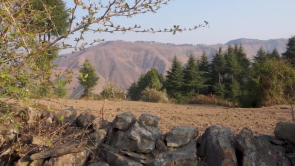 Захватывающий Дух Вид Гималайский Регион Уттаракханда Каменными Стенами Сосновыми Деревьями — стоковое видео