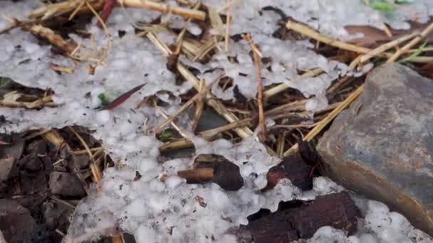 Winter Wonderland Gefrorene Hagelkörner Der Himalaya Region Uttarakhand Indien — Stockvideo