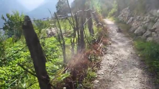 Pov Walk Rustic Wooden Log Fence Bordering Himachal Pradesh Farmland — стоковое видео
