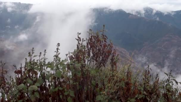 Majesté Hiver Nuages Mouvants Neige Sur Chaîne Montagnes Shivalik Basse — Video