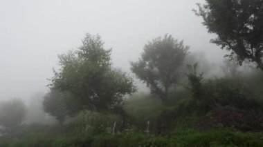 A himalayan hill top covered in fog or mist with barely visible trees and ground. Uttarakhand India
