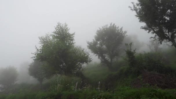 Himalayan Hill Top Covered Fog Mist Barely Visible Trees Ground — Wideo stockowe