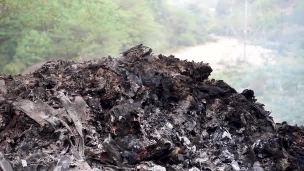 Crise Ambiental Queimando Lixo Fumaça Dehradun City Índia Conceito Poluição — Vídeo de Stock