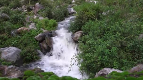 Широкий Кут Струмка Річки Протікає Через Ліс Горою Навколо Індії — стокове відео
