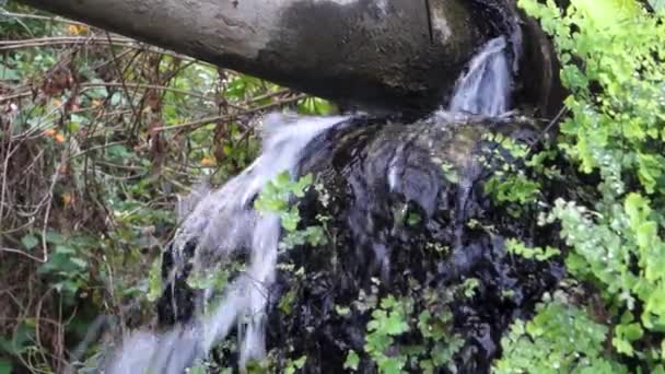 Отрицание Инфраструктуры Разлив Воды Разорванной Трубы Дехрадуне Уттаракханд Индия Фондовые — стоковое видео