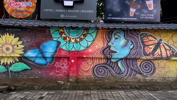 Januari 2022 Dehradun City India Een Kleurrijke Muur Graffiti Van — Stockvideo