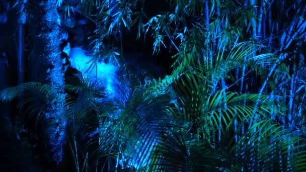 Cascading Elegance Kunstmatige Waterval Met Dramatische Lichten Plantage Dehradun City — Stockvideo