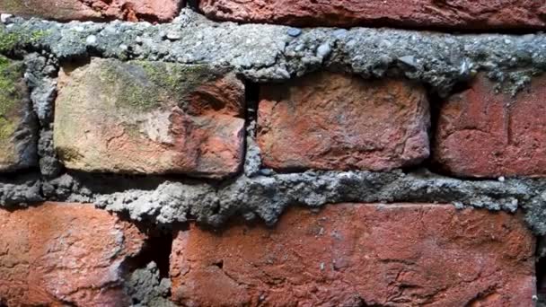 Tekstura Urbanistyczna Odsłonięte Mury Czerwonej Cegły Cementem Mieście Dehradun Uttarakhand — Wideo stockowe
