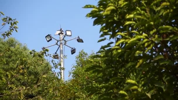 Close Shot Lamp Post Surrounded Green Trees Indian Garden — Stock Video