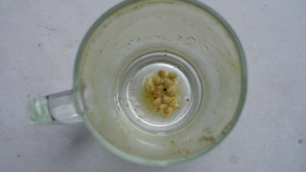 柠檬种子在一个空杯子的底部 — 图库视频影像