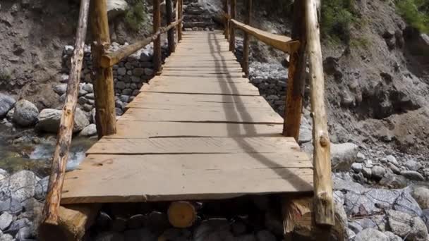ヒマハルプラデシュの森の川を渡る一時的な手作りのログブリッジを歩く — ストック動画