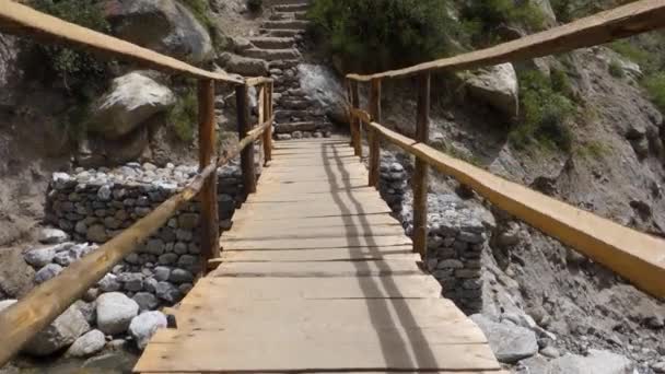Camine Sobre Puente Troncos Hecho Mano Temporal Sobre Río Del — Vídeo de stock