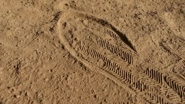 砂の地面に靴のプリントのクローズアップショット インド — ストック動画