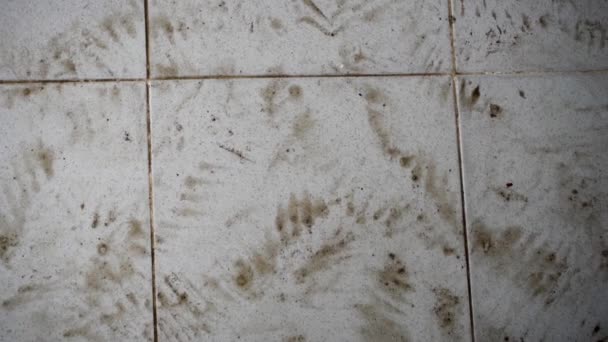 Muddy Impressions Ślady Brudnych Stóp Mokrej Podłodze Indiach — Wideo stockowe
