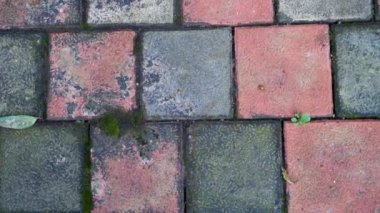 Renkli Blok Zarafeti: Dehradun şehrindeki Square Outdoor Footpath Tiles, Uttarakhand, Hindistan - Kentsel Tasarım ve Mimari Konseptler için Stock Media