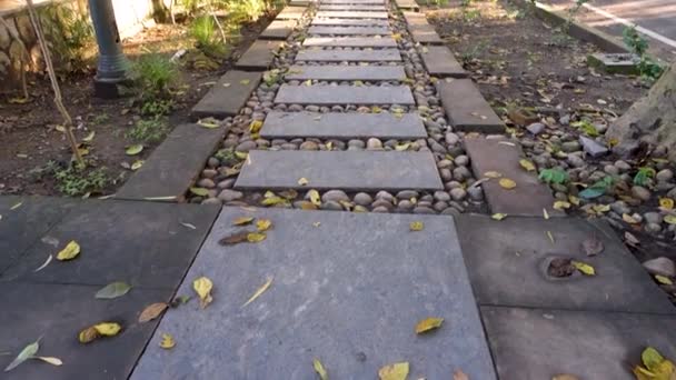 Taş Kiremitler Çakıl Taşlarından Yapılmış Iyi Korunmuş Bir Kaldırım Uttarakhand — Stok video