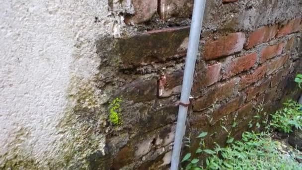 Urban Utility Exposed Pipe Sanitär Fitting Brick Wall Dehradun City — Stockvideo