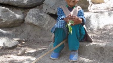 30 Ağustos 2023, Himachal Pradesh, Hindistan. Himachal Pradesh kırsalında geleneksel kıyafetler giyen yaşlı Himachali kadını.