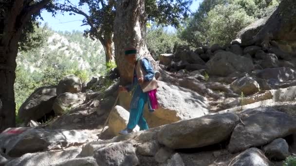 Agosto 2023 Himachal Pradesh India Himachali Anciana Descendiendo Colina Con — Vídeo de stock