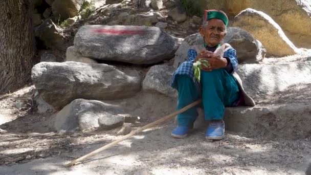 Αυγούστου 2023 Χιμαχάλ Πραντές Ινδία Ηλικιωμένη Γυναίκα Himachali Φορώντας Παραδοσιακή — Αρχείο Βίντεο