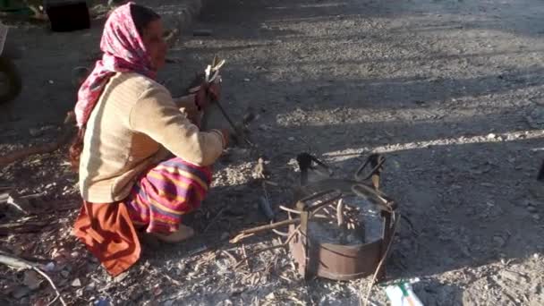 Grudnia 2023 Uttarakhand India Gadwali Kobieta Przygotowująca Drewno Zimę Piec — Wideo stockowe