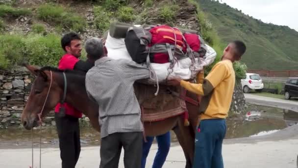 Decembrie 2023 Uttarakhand India Expediția Himalayană Indigeni Care Încarcă Calul — Videoclip de stoc